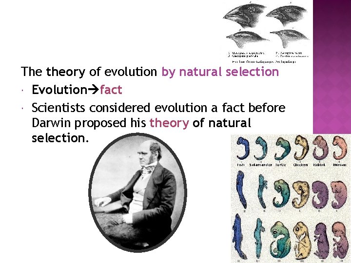 The theory of evolution by natural selection Evolution fact Scientists considered evolution a fact