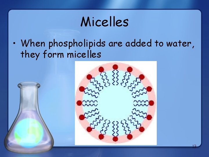 Micelles • When phospholipids are added to water, they form micelles 13 