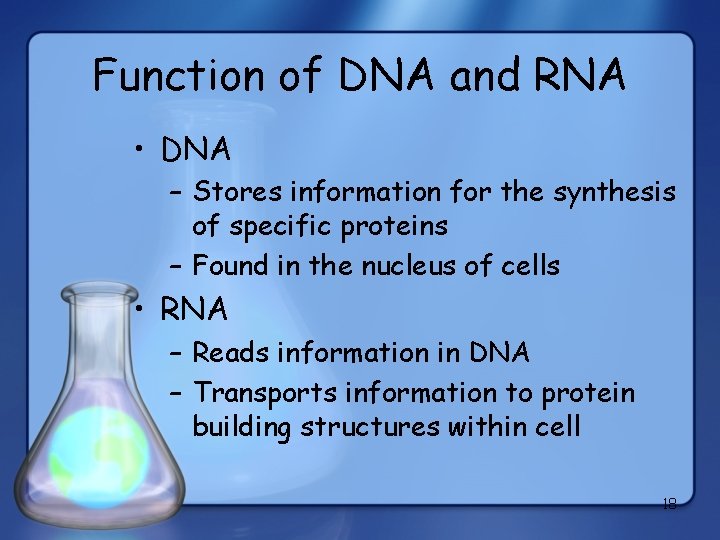 Function of DNA and RNA • DNA – Stores information for the synthesis of