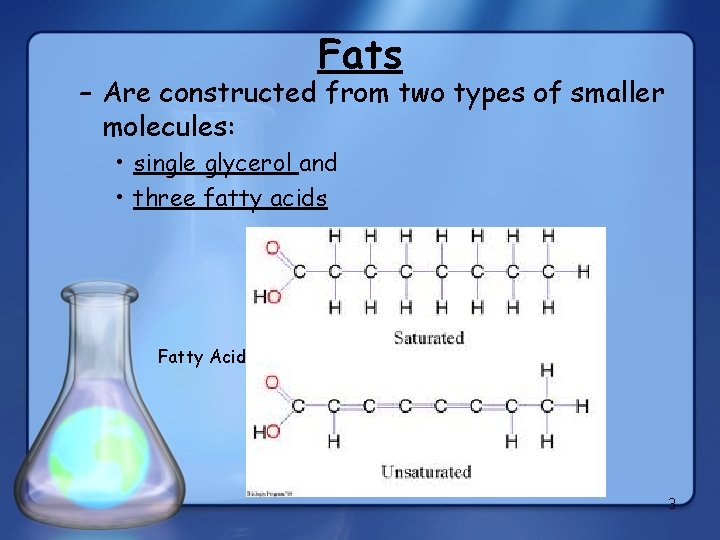 Fats – Are constructed from two types of smaller molecules: • single glycerol and