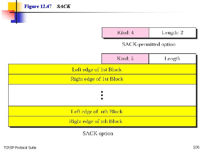 Figure 12. 47 TCP/IP Protocol Suite SACK 106 