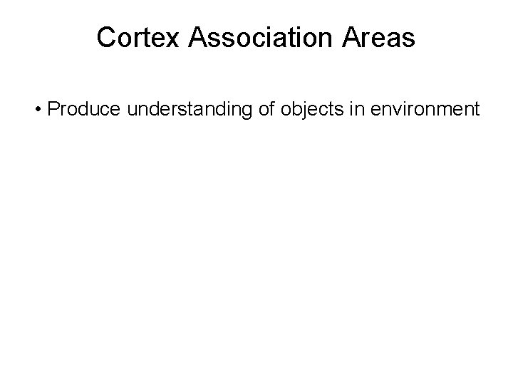 Cortex Association Areas • Produce understanding of objects in environment 