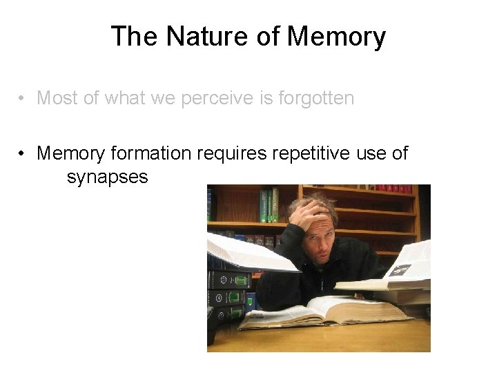 The Nature of Memory • Most of what we perceive is forgotten • Memory