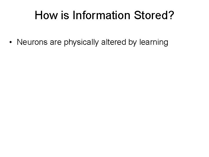 How is Information Stored? • Neurons are physically altered by learning 