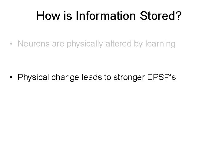 How is Information Stored? • Neurons are physically altered by learning • Physical change