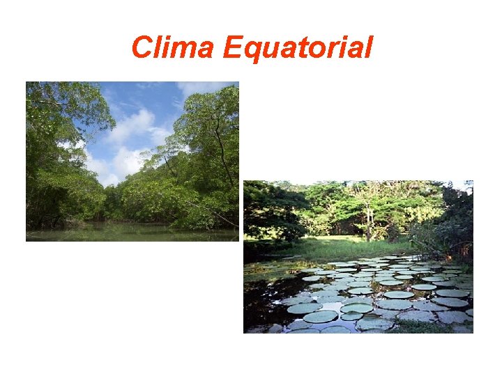 Clima Equatorial 