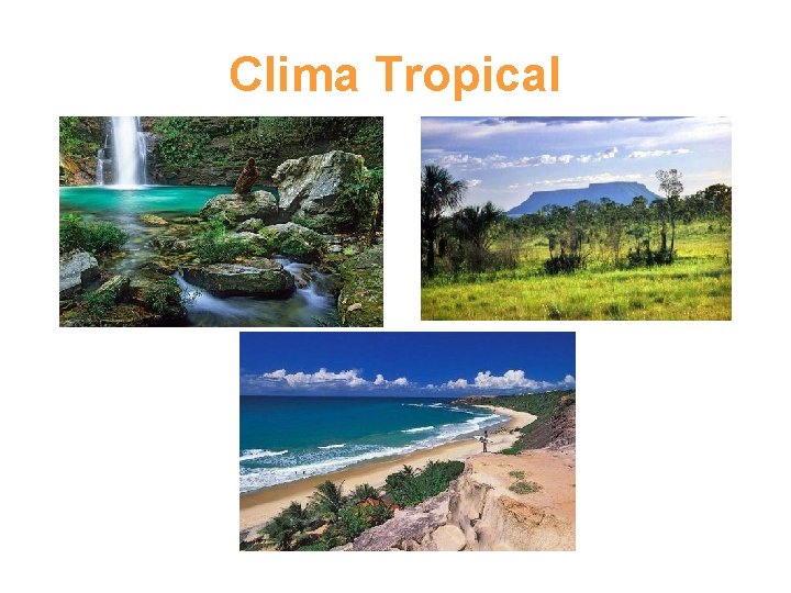 Clima Tropical 