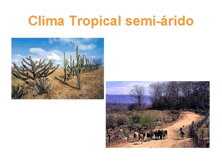 Clima Tropical semi-árido 