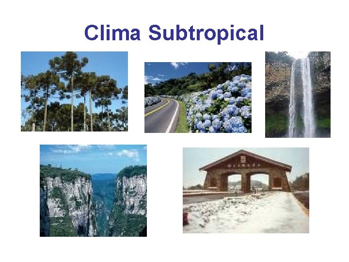 Clima Subtropical 