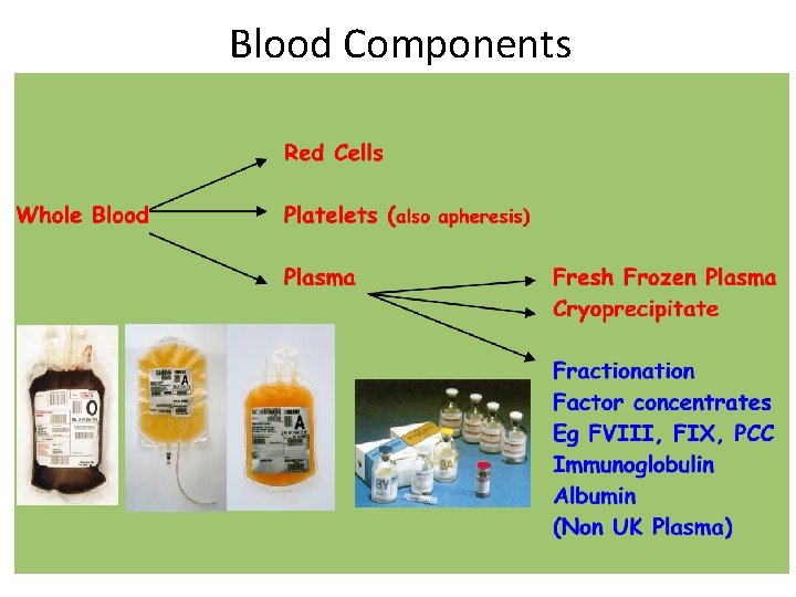Blood Components 