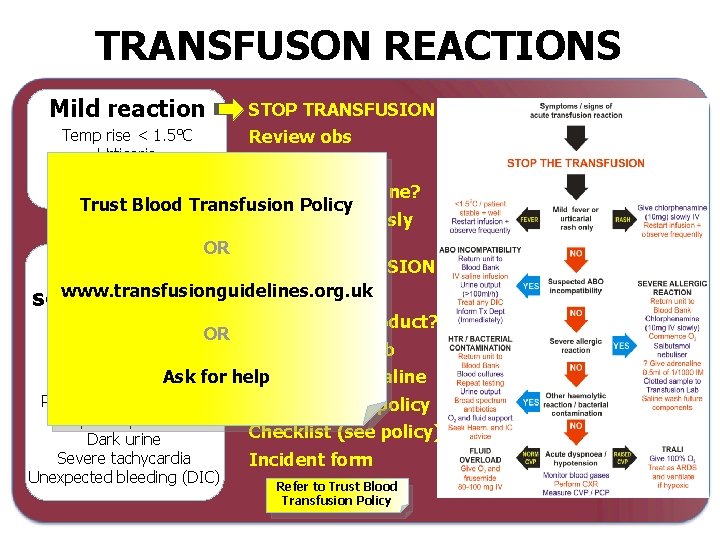TRANSFUSON REACTIONS Mild reaction Temp rise < 1. 5°C Urticaria Rash Pruritis STOP TRANSFUSION