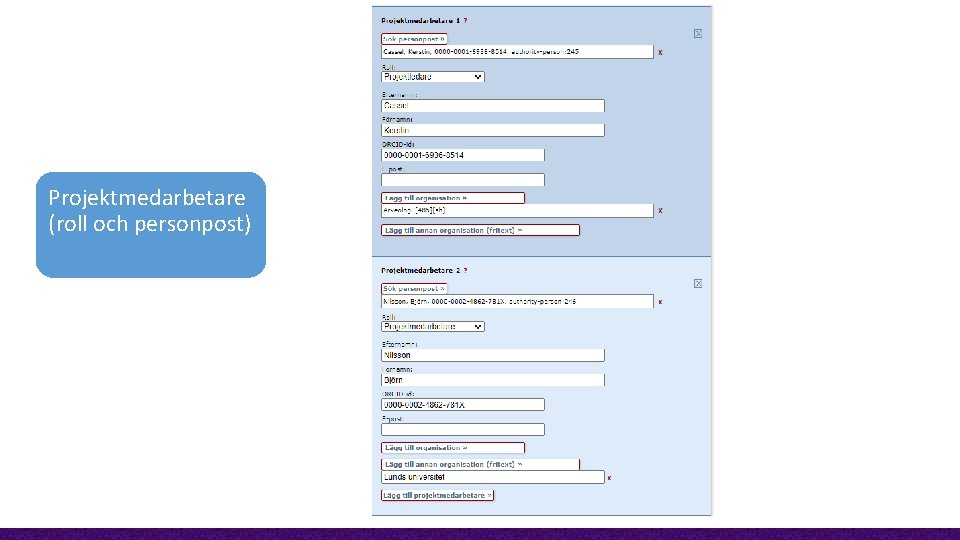 Projektmedarbetare (roll och personpost) 