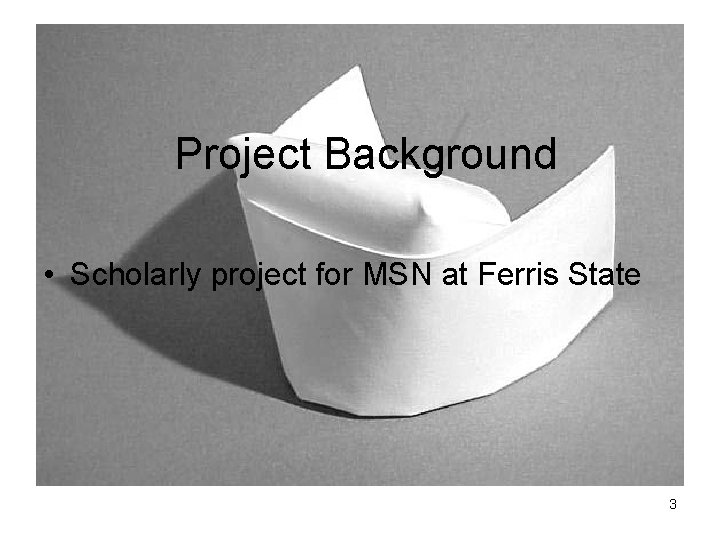 Project Background • Scholarly project for MSN at Ferris State 3 