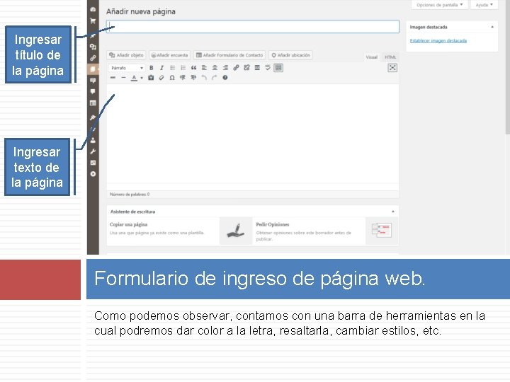 Ingresar título de la página Ingresar texto de la página Formulario de ingreso de
