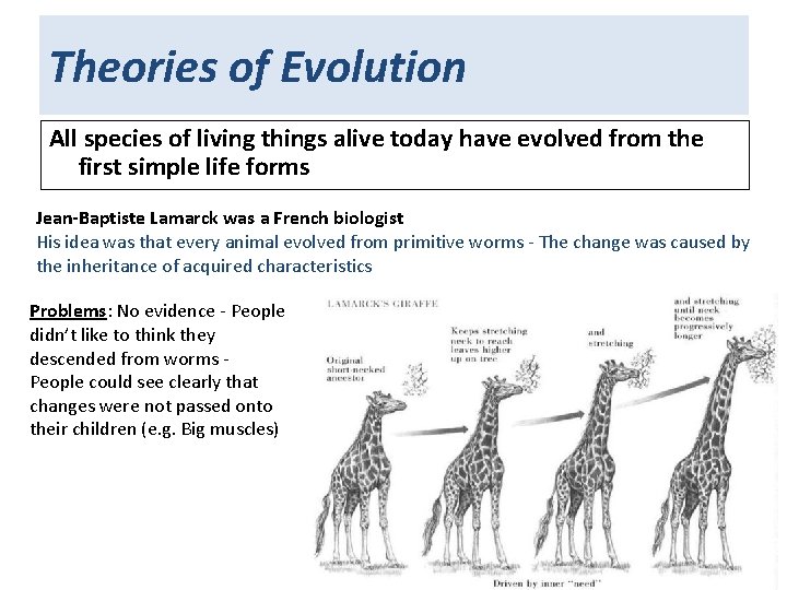 Theories of Evolution All species of living things alive today have evolved from the