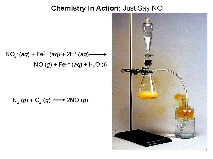 Chemistry In Action: Just Say NO NO 2 - (aq) + Fe 2+ (aq)