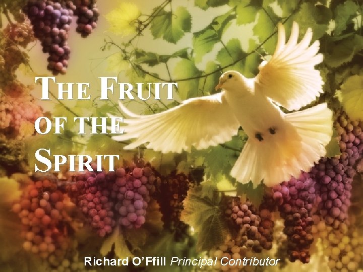 THE FRUIT OF THE SPIRIT Richard O’Ffill Principal Contributor 