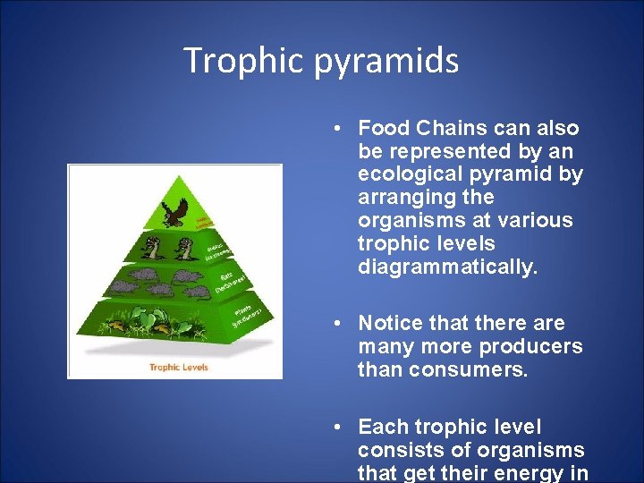 Trophic pyramids • Food Chains can also be represented by an ecological pyramid by