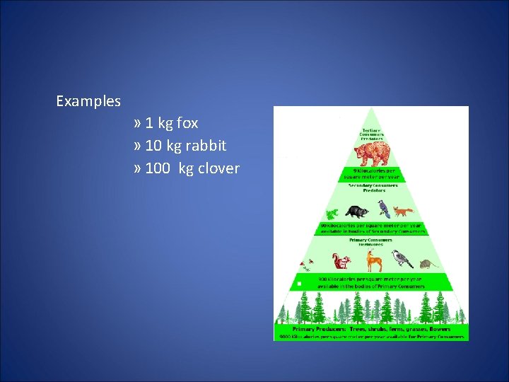 Examples » 1 kg fox » 10 kg rabbit » 100 kg clover 