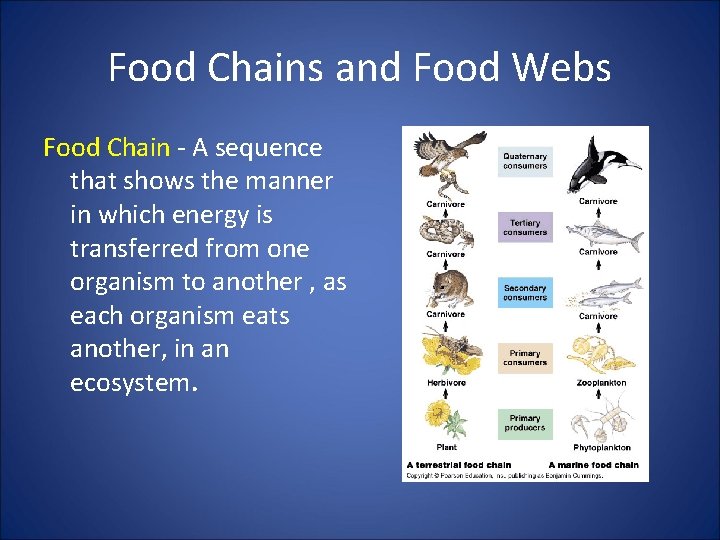 Food Chains and Food Webs Food Chain - A sequence that shows the manner