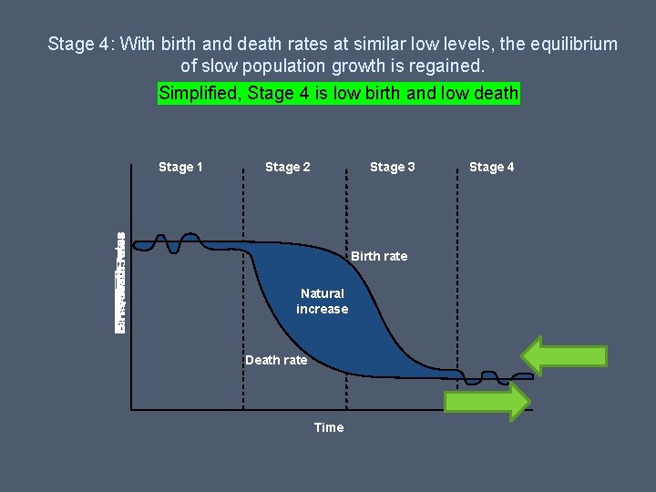 Stage 4: With birth and death rates at similar low levels, the equilibrium of