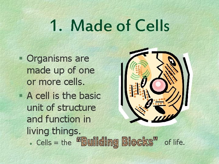 1. Made of Cells § Organisms are made up of one or more cells.