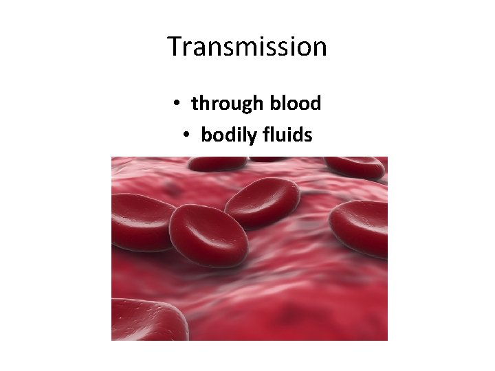 Transmission • through blood • bodily fluids 