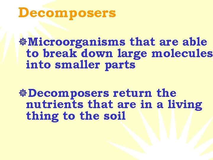 Decomposers ]Microorganisms that are able to break down large molecules into smaller parts ]Decomposers