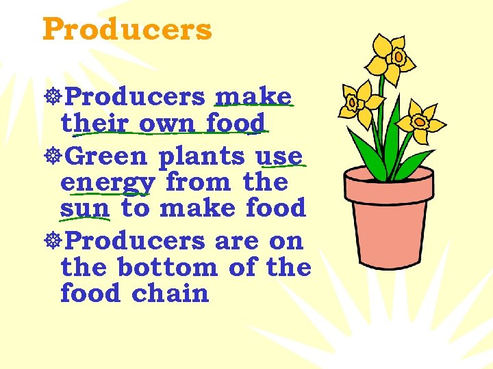Producers ]Producers make their own food ]Green plants use energy from the sun to