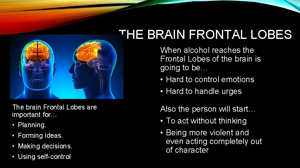THE BRAIN FRONTAL LOBES When alcohol reaches the Frontal Lobes of the brain is