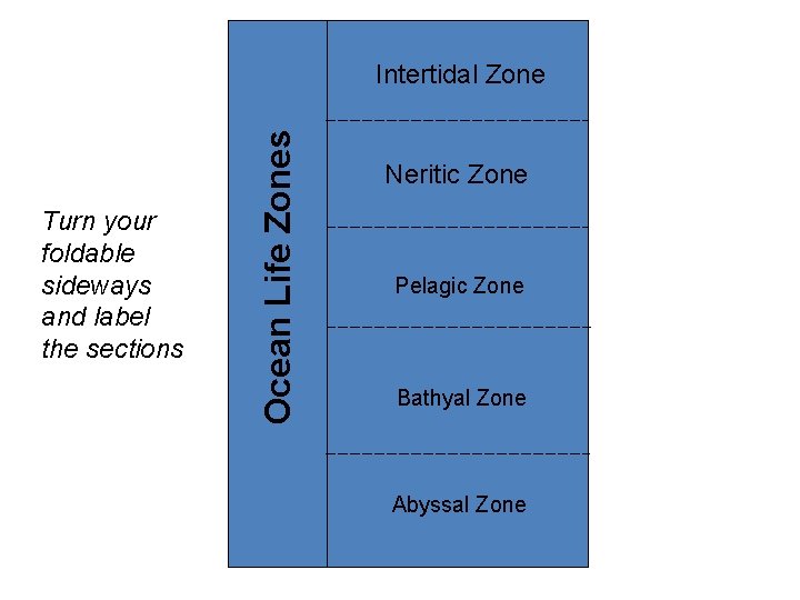 Turn your foldable sideways and label the sections Ocean Life Zones Foldable Intertidal Zone