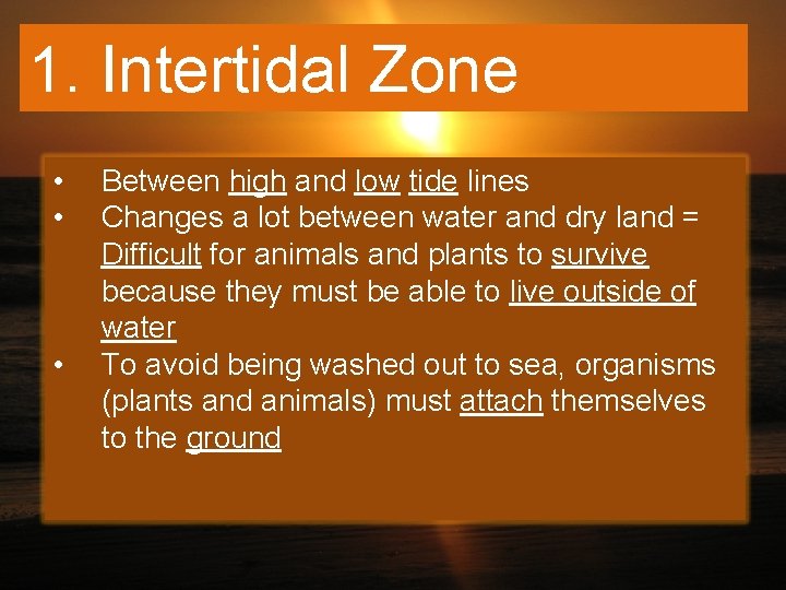 1. Intertidal Zone • • • Between high and low tide lines Changes a