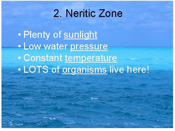 2. Neritic Zone • Plenty of sunlight • Low water pressure • Constant temperature