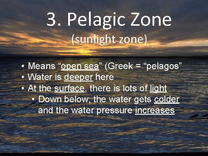 3. Pelagic Zone (sunlight zone) • Means “open sea” (Greek = “pelagos” • Water