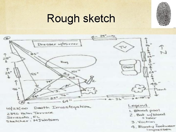 Rough sketch 
