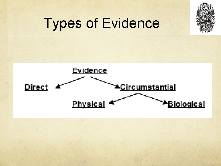 Types of Evidence 