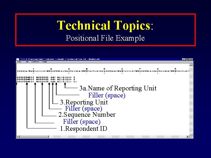Technical Topics: Positional File Example 3 a. Name of Reporting Unit Filler (space) 3.