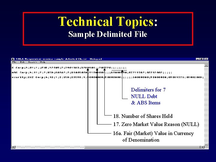 Technical Topics: Sample Delimited File Delimiters for 7 NULL Debt & ABS Items 18.