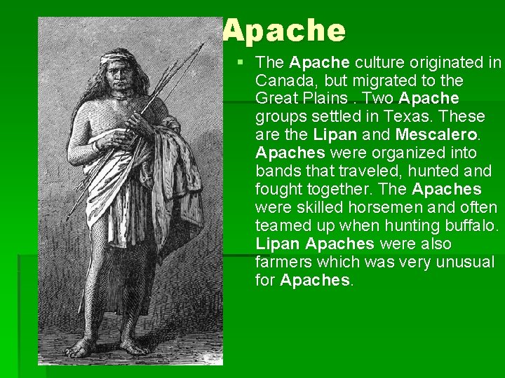 The Apache § The Apache culture originated in Canada, but migrated to the Great
