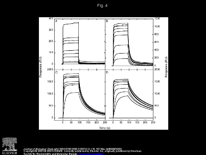 Fig. 4 Journal of Biological Chemistry 2004 27931050 -31057 DOI: (10. 1074/jbc. M 400693200)