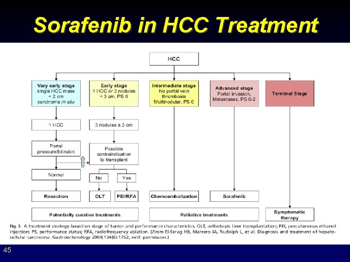 Sorafenib in HCC Treatment 45 