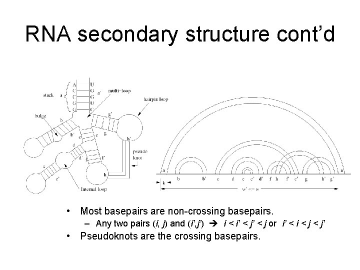 RNA secondary structure cont’d • Most basepairs are non-crossing basepairs. – Any two pairs