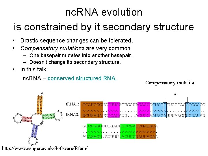 nc. RNA evolution is constrained by it secondary structure • Drastic sequence changes can