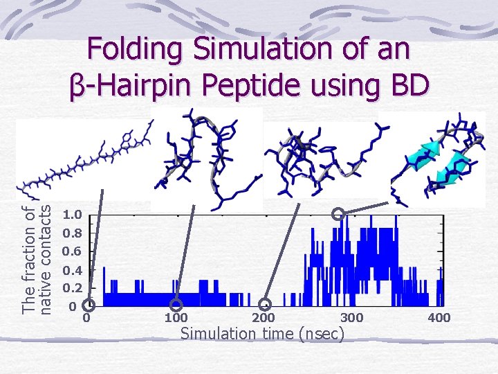The fraction of native contacts Folding Simulation of an β-Hairpin Peptide using BD 1.