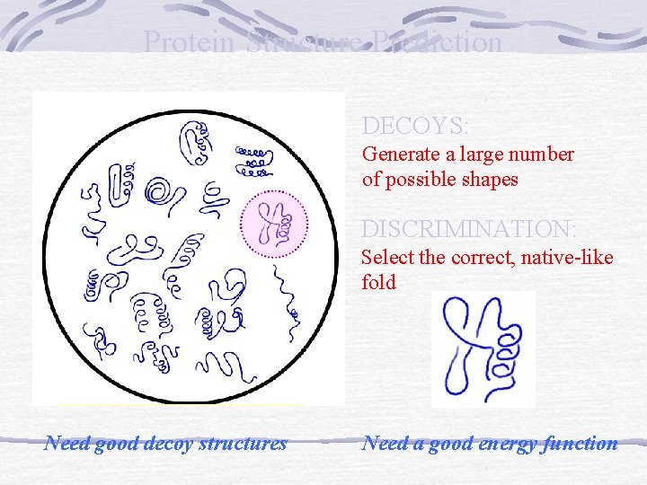 Protein Structure Prediction DECOYS: Generate a large number of possible shapes DISCRIMINATION: Select the