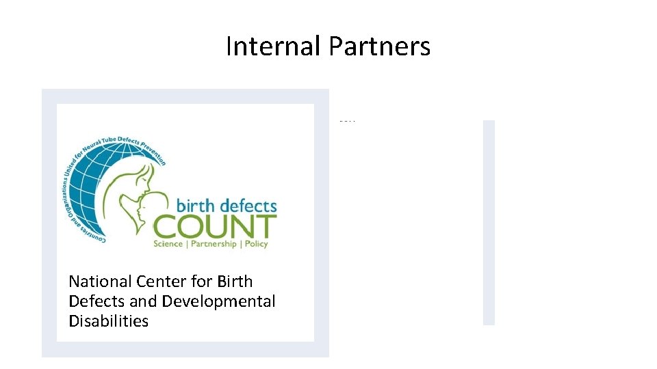Internal Partners The Division of Birth Defects and Developmental Disabilities National Center for Birth