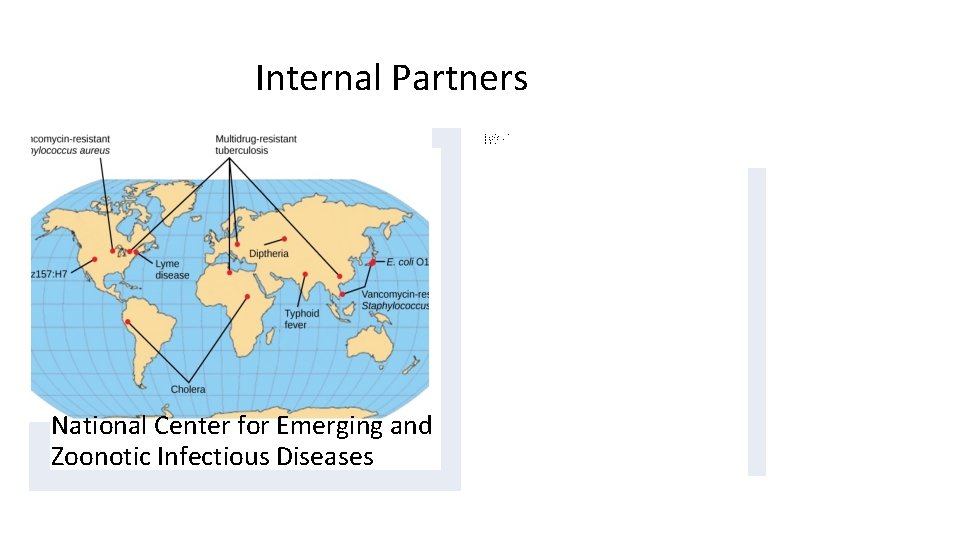 Internal Partners - Division of Foodborne, Waterborne, and Environmental Diseases - Division of Global