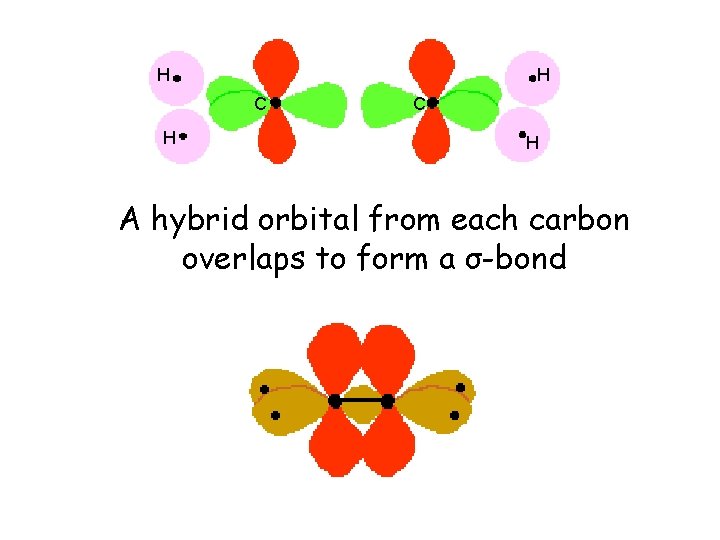 H H C H A hybrid orbital from each carbon overlaps to form a