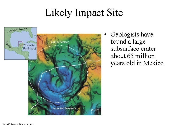 Likely Impact Site • Geologists have found a large subsurface crater about 65 million