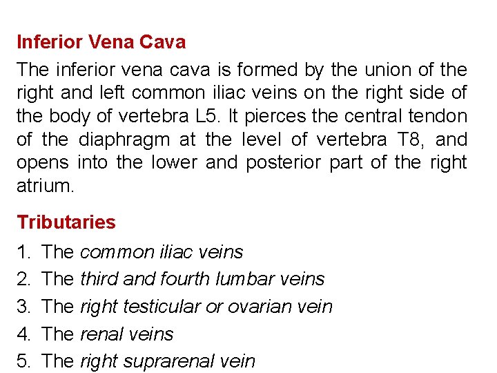 Inferior Vena Cava The inferior vena cava is formed by the union of the